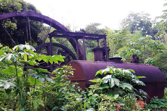 design-your-own-individual-excursion