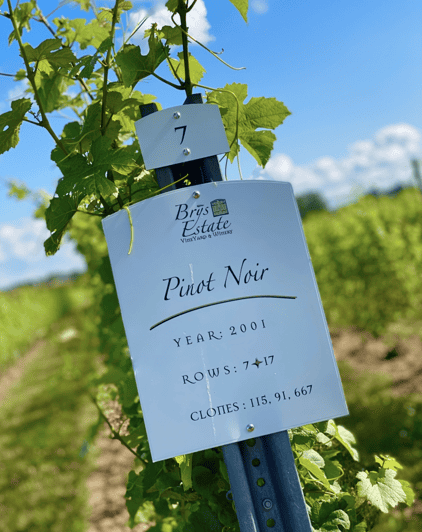 designated-driver-for-wine-tours-traverse-city