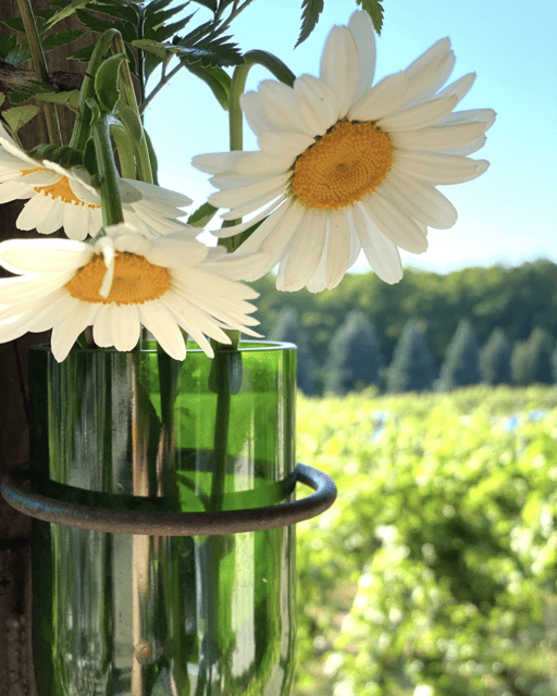 designated-driver-for-wine-tours-traverse-city