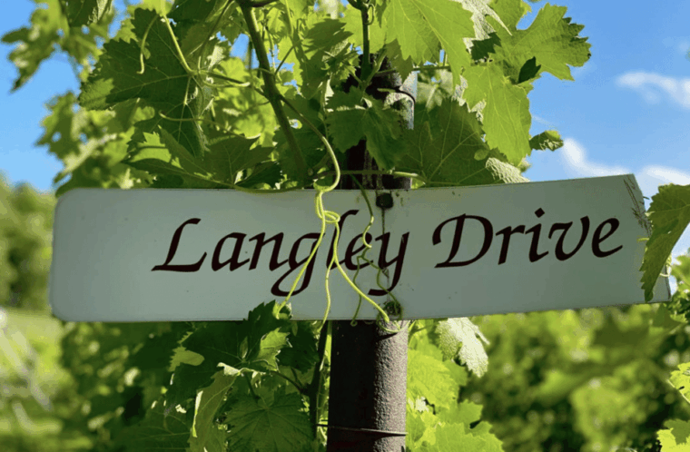 designated-driver-for-wine-tours-traverse-city