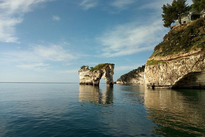 desiree-private-boat-tour-with-skipper