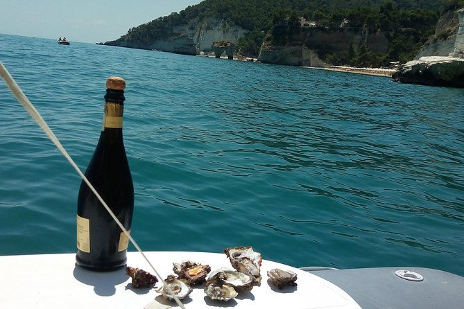 desiree-private-boat-tour-with-skipper