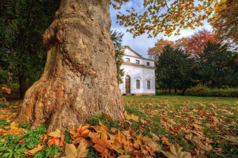Dessau: In the footsteps of Paul Klee - Exploring Dessau: A Walk in the Footsteps of Paul Klee