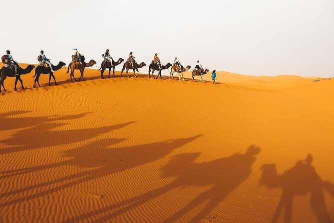 Dessert Tour from Marrakech 4D/3N - Key Points