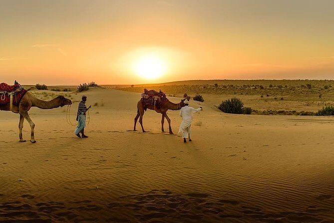 Dessert Tour from Marrakech 4D/3N - The Sum Up: Is This Tour Right for You?