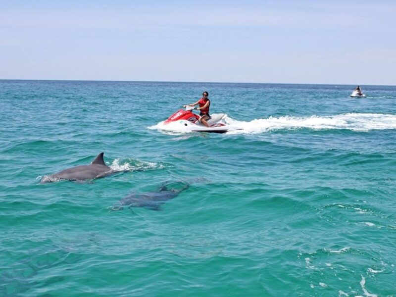 destin-crab-island-dolphin-watching-jet-ski-tour