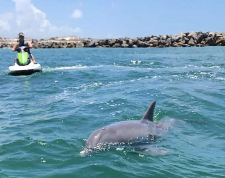 destin-crab-island-dolphin-watching-jet-ski-tour