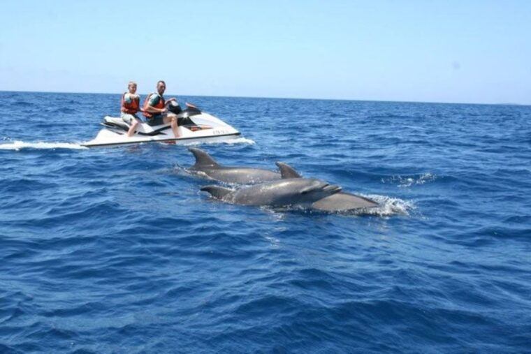 destin-crab-island-dolphin-watching-jet-ski-tour