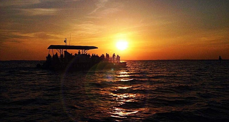 Destin: Dolphin Watching Cruise - An In-Depth Look at the Experience
