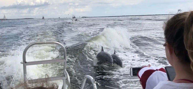 Destin: Dolphin Watching Cruise - FAQ
