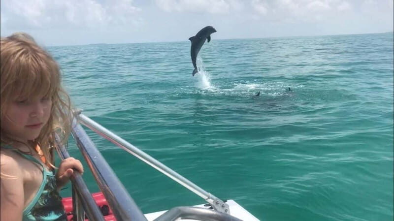 Destin: Snorkeling Cruise with 2 Stops and Dolphin Watching - Who Would Love This Tour?