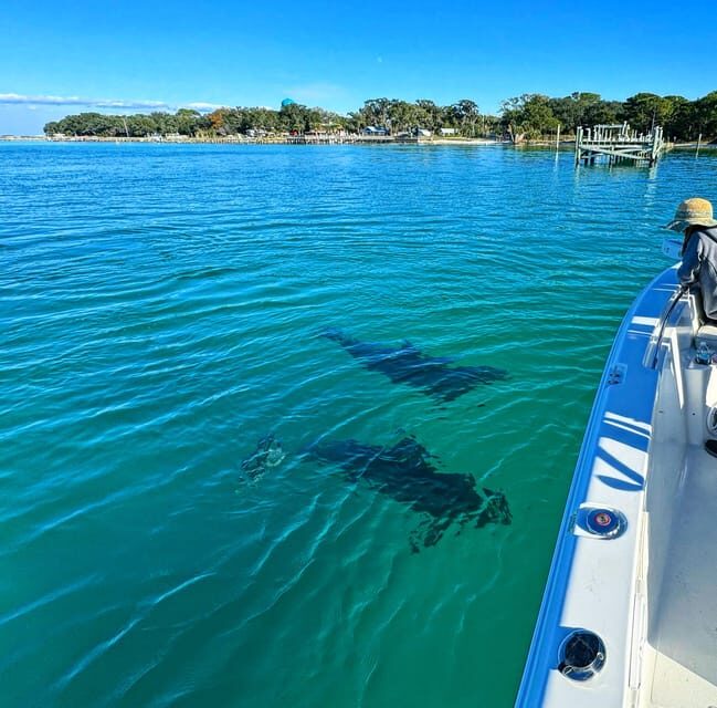 Destin: Snorkeling, Dolphins, and Crab Island - Pricing and Value: What You’re Really Getting