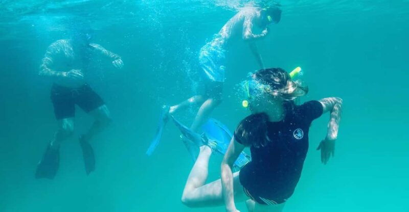 destin-snorkeling-dolphins-and-crab-island