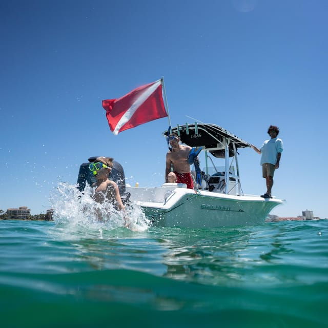 destin-snorkeling-dolphins-and-crab-island