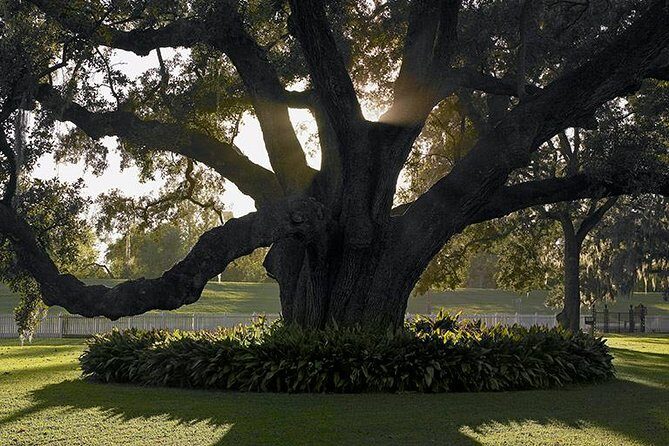 Destrehan Plantation Tour - The Experience: What Travelers Are Saying