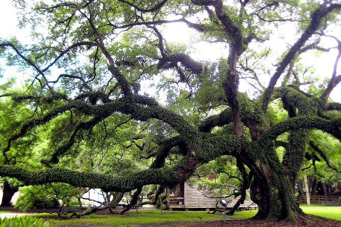 Destrehan Plantation Tour - Final Thoughts: Is It Worth It?