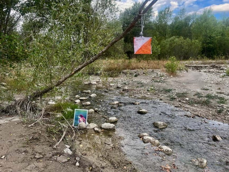 Detective Club: a nature investigation game for the whole family! - Key Points