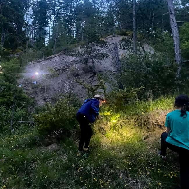 Detective Club: a nature investigation game for the whole family! - Exploring the Details of the Detective Club Experience