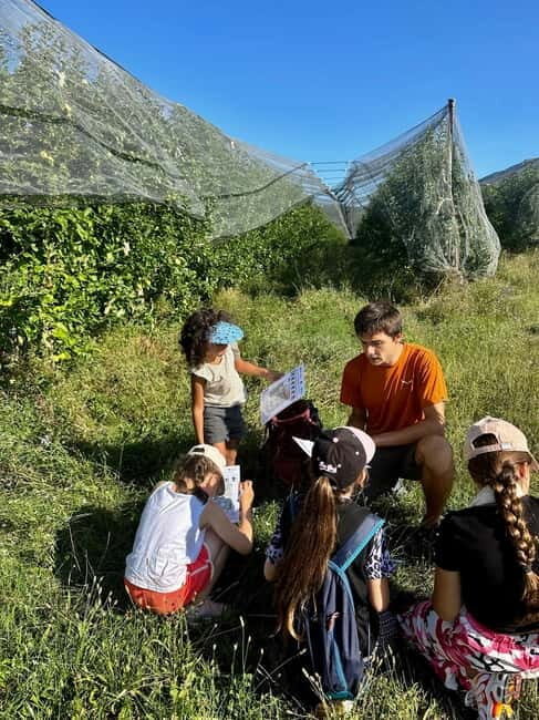 Detective Club: a nature investigation game for the whole family! - Final Thoughts on Value and Experience