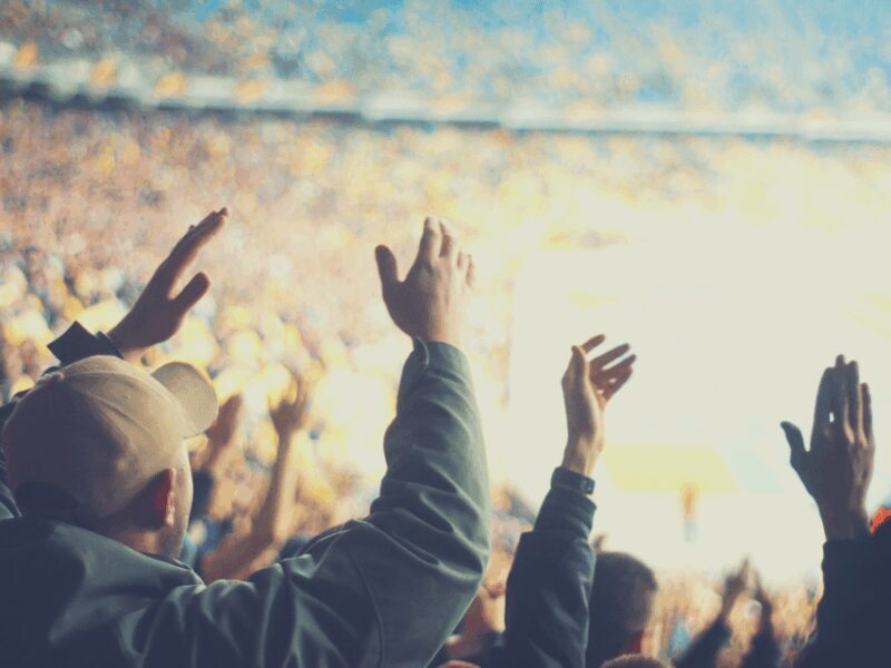 Detroit: Detroit Lions Football Game at Ford Field - The Practicalities: Ticketing and Logistics