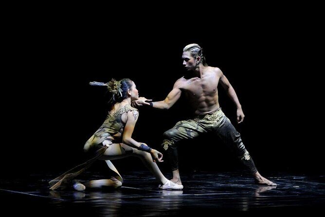 Devdan Show for International Market - The Value Proposition: Is It Worth the Price?