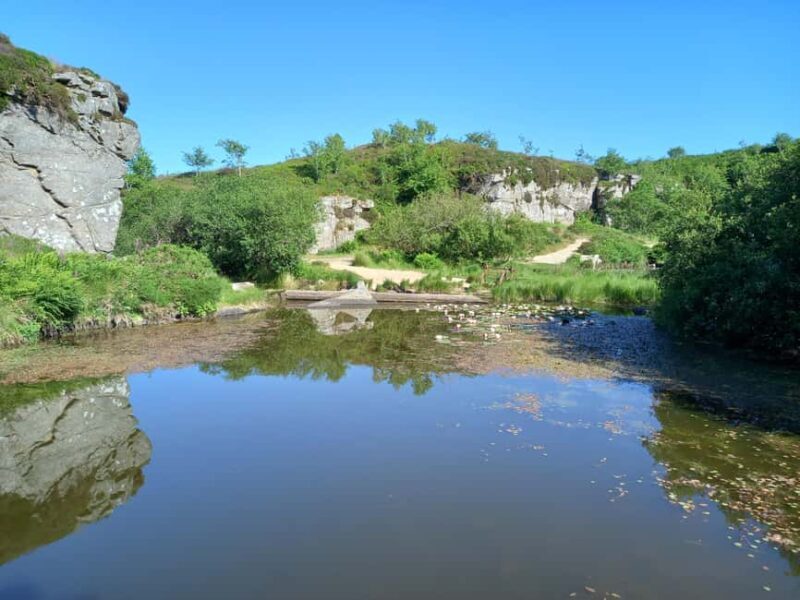 Devon: Dartmoor National Park Guided Tour - Final Thoughts