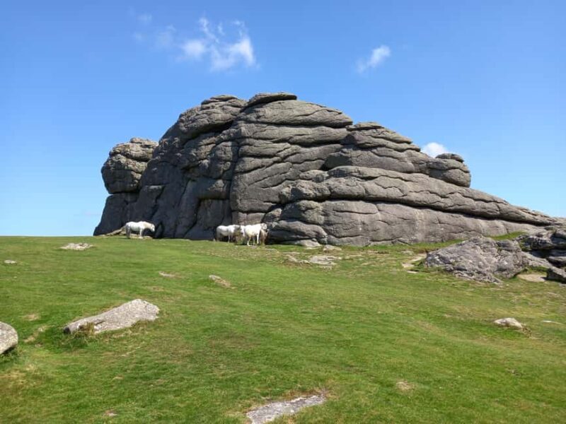 Devon: Dartmoor National Park Guided Tour - FAQ