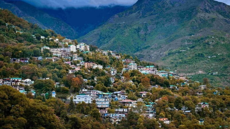 Dharamsala Half Day Sightseeing Tour - The Itinerary in Detail: What to Expect on This Tour