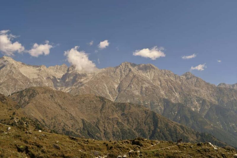 Dharamshala: 5-Day Guided City Tour with Triund Hike - Key Points