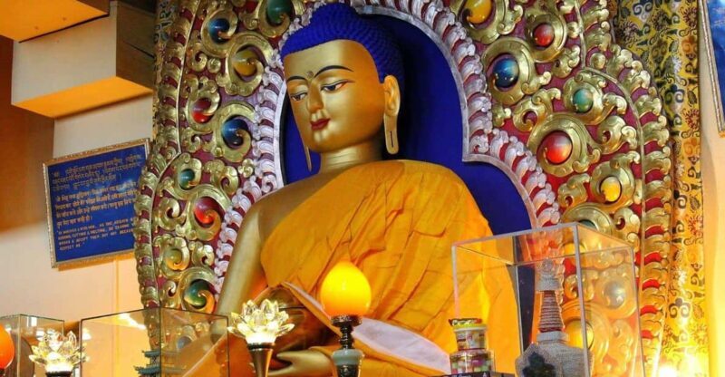 Dharamshala Full Day Tour - Exploring the Dharamshala Full Day Tour: A Deep Dive into Tibetan Culture and Himalayan Beauty