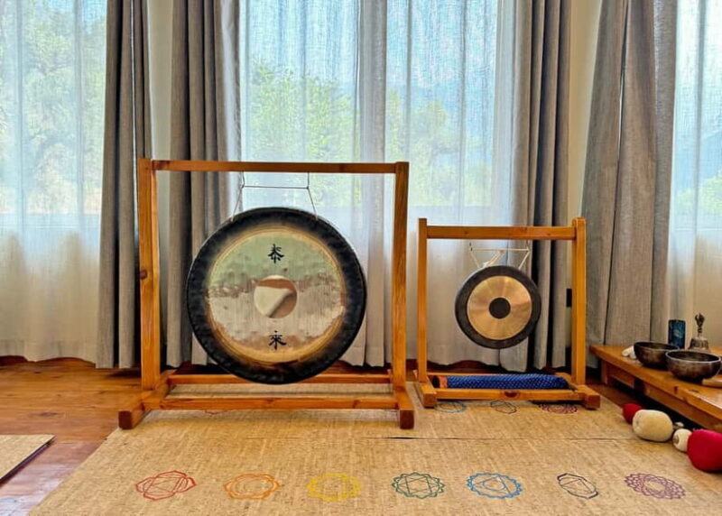 Dharamshala: Sound Healing with Organic Lunch - Key Points