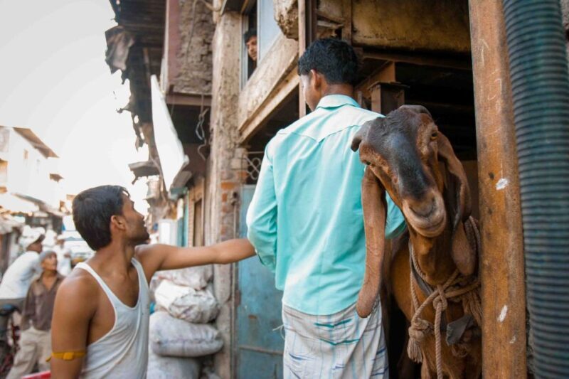 Dharavi Tour Including Car Transfer - A Detailed Look at the Dharavi Tour Experience