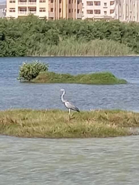 Dhofar: Salalah City and East Salalah Private Tour - Key Points