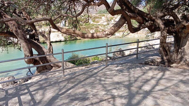 Dhofar: Salalah City and East Salalah Private Tour - The Sum Up