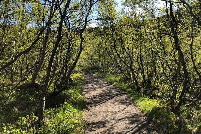 diamond-circle-day-tour-from-akureyri