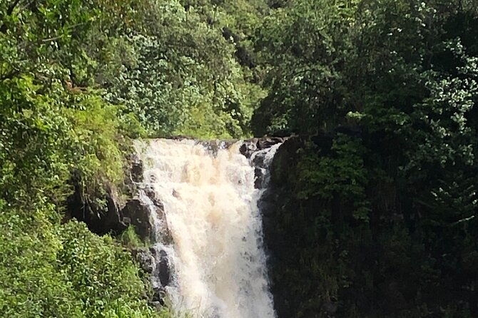 diamond-head-crater-trail-sightseeing-south-side-beach-day