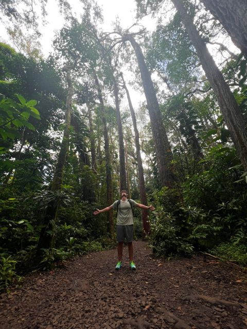 diamond-head-manoa-falls