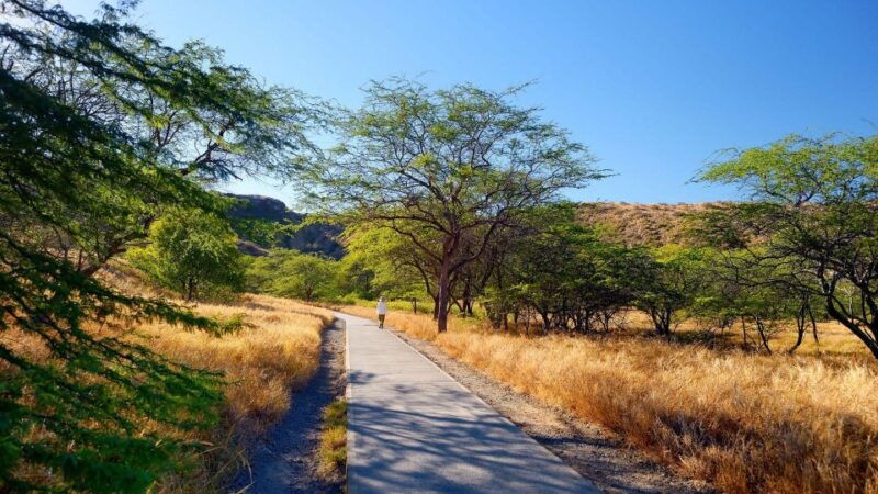 diamond-head-manoa-falls