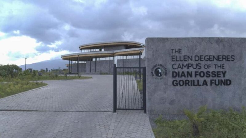 Dian Fossey Museum - The Significance of the Artifacts and Multimedia Features