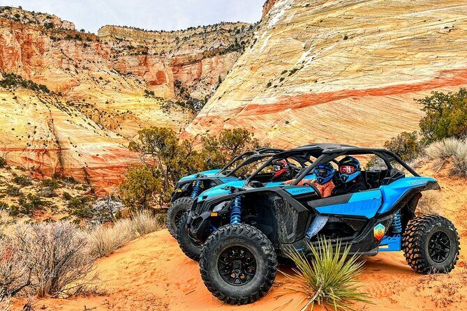 Diana's Throne UTV Adventure Near Zion National Park - The Sum Up