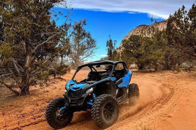 Diana's Throne UTV Adventure Near Zion National Park - FAQ