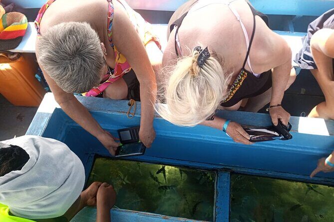 Diani Beach: Glass-bottom Boat Ride with Underwater Show - Analyzing the Price and Overall Value