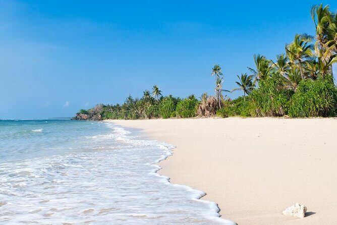 Diani Beach: Glass-bottom Boat Ride with Underwater Show - Final Thoughts