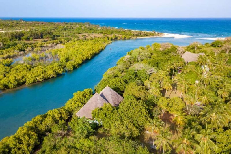 Diani Beach: Sunset Dhow Cruise with Dinner - Diani Beach: Sunset Dhow Cruise with Dinner – A Detailed Review