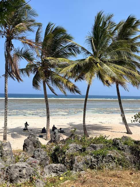 Diani: Full day Guided tour in Tiwi beach & Diani - The Itinerary in Detail