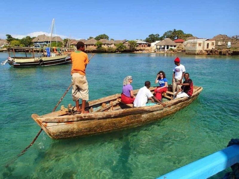 Diani: Kisite Mpunguti Marine Park with Lunch - Key Points