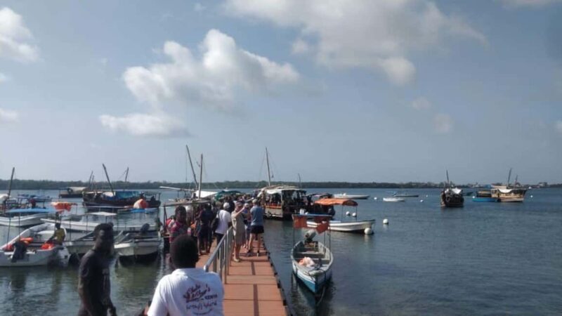 Diani: Kisite Mpunguti Marine Park with Lunch - Exploring Wasisni Island and Cultural Encounters