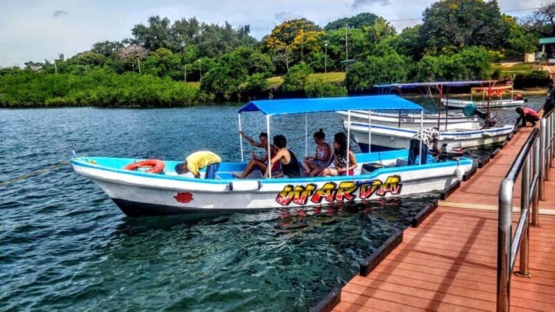 Diani: Kisite Mpunguti Marine Park with Lunch - What Travelers Should Know
