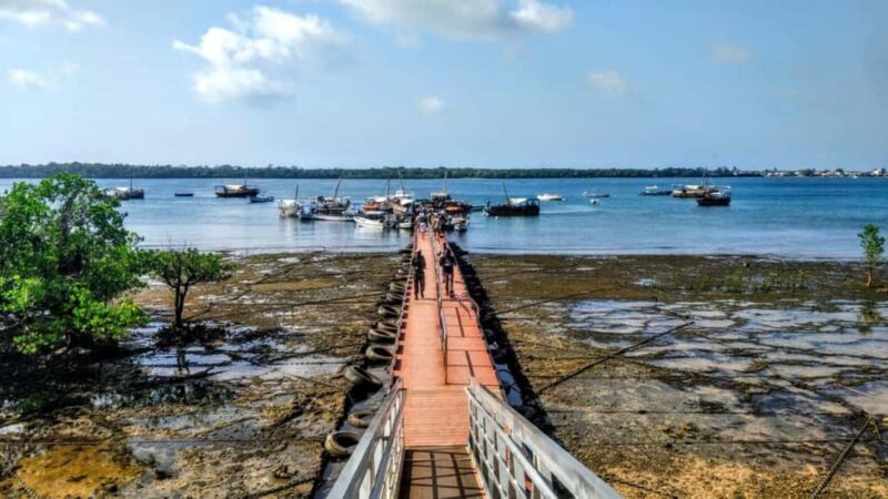 Diani: Kisite Private Boat Tour with Snorkeling and Lunch - What Makes This Tour Stand Out?