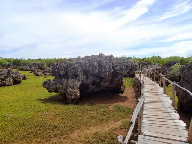 Diani: Kisite Private Boat Tour with Snorkeling and Lunch - Final Thoughts: Is This Tour Worth It?